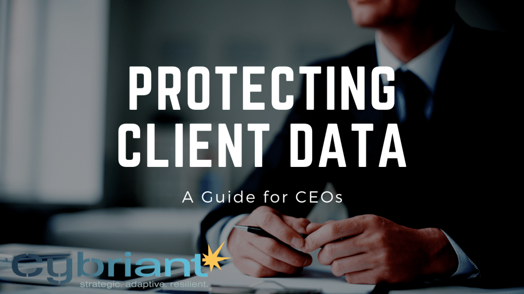 Cybriant | Protecting Client Data: A Guide for CEOs