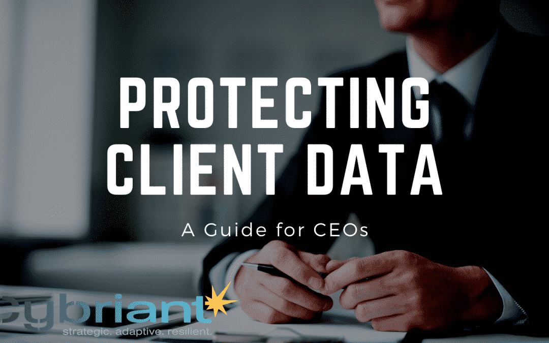 Protecting Client Data: A Guide for CEOs