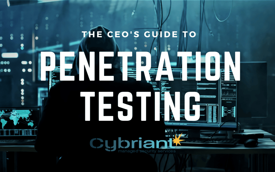 The CEO’s Guide to Penetration Testing