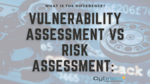 vuln vs risk