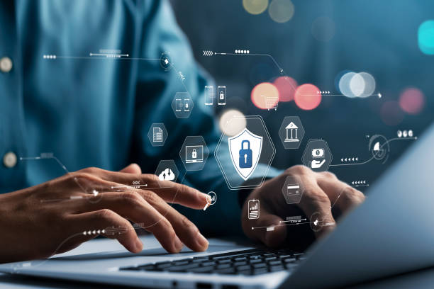 The Role of Vulnerability Management